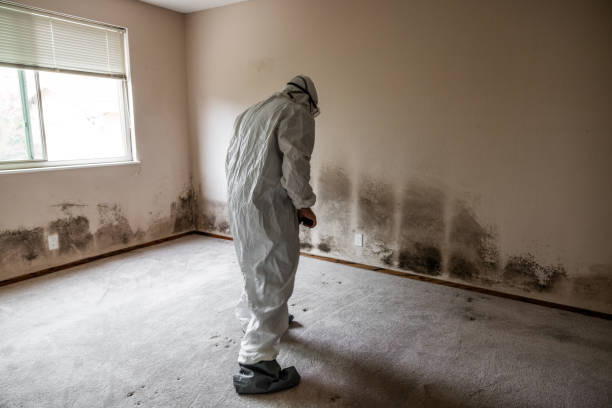 Best Crawl Space Mold Remediation in Lemoore, CA